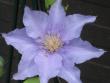 tn_gallery_4383_2510_659.jpg
