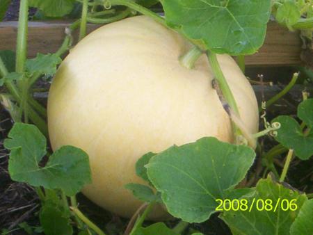 gallery_14342_2726_110432.jpg