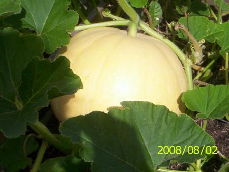 gallery_14342_2726_83004.jpg