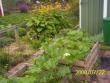 tn_gallery_14342_2726_219466.jpg