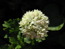 gallery_12843_2344_4479.jpg
