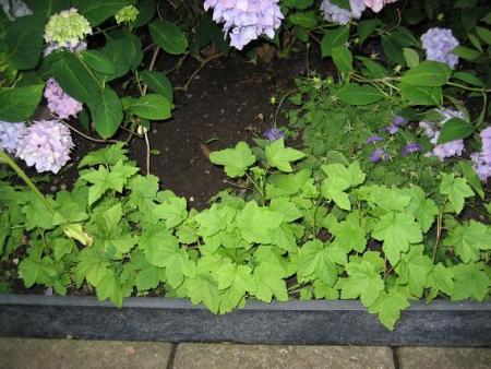 gallery_11874_2709_28348.jpg