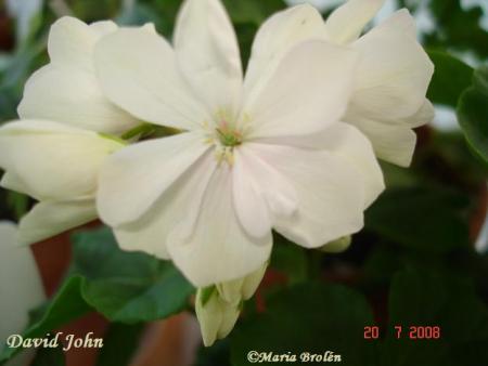 gallery_18075_2727_10800.jpg