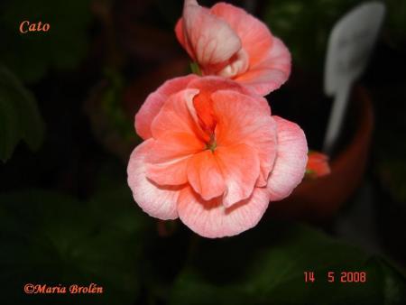 gallery_18075_2727_29490.jpg