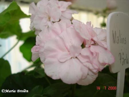 gallery_18075_2727_18728.jpg