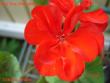 tn_gallery_18075_2727_14976.jpg