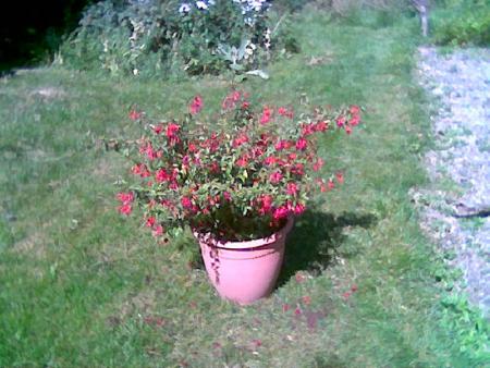 gallery_2460_1862_33831.jpg