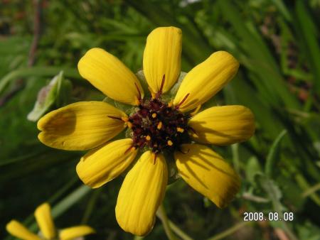 gallery_1786_950_25892.jpg
