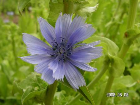 gallery_1786_950_53333.jpg