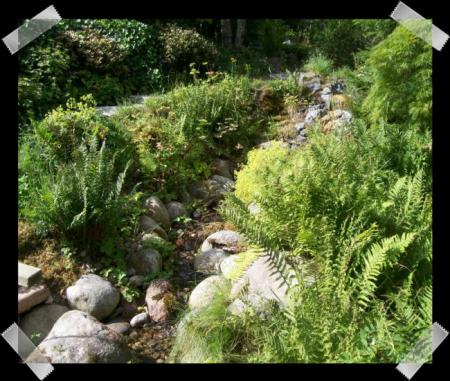 gallery_7440_2733_52613.jpg