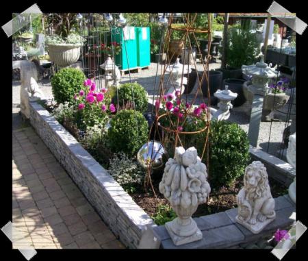gallery_7440_2733_78430.jpg