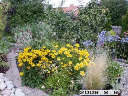 gallery_5956_1861_54778.jpg