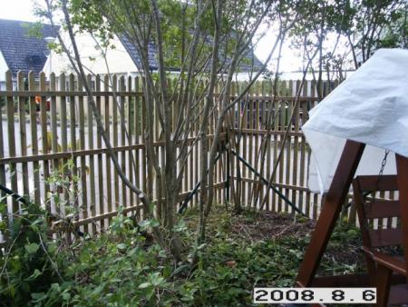 gallery_5956_2738_105897.jpg