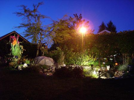 gallery_13447_1715_130428.jpg