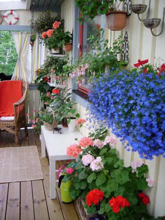 gallery_13447_1715_283198.jpg