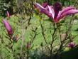 tn_gallery_2224_2741_12744.jpg