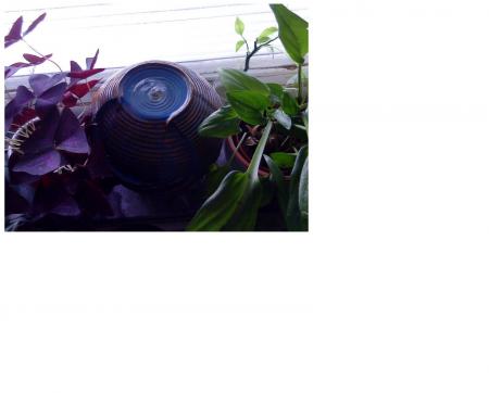 gallery_15871_2654_94819.jpg