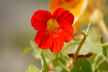gallery_16072_2748_10607.jpg