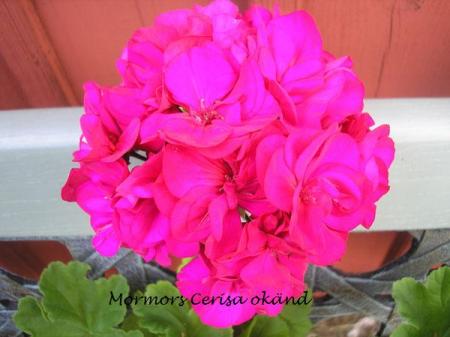 gallery_5783_2273_26417.jpg