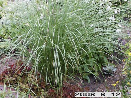 gallery_5956_2442_130378.jpg