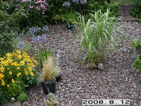 gallery_5956_2442_149075.jpg