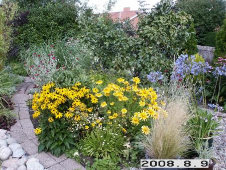 gallery_5956_2442_177562.jpg