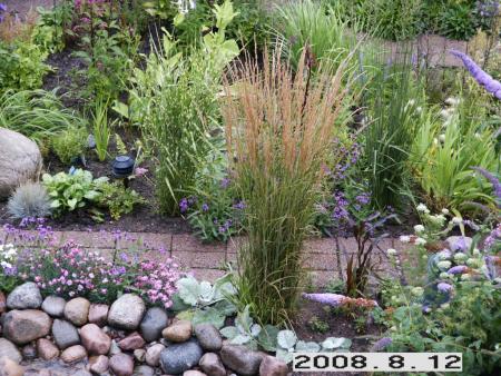 gallery_5956_2442_70080.jpg