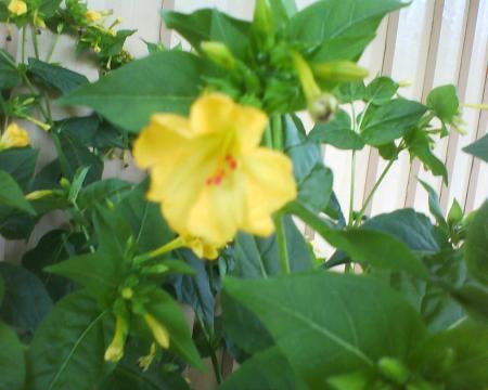 gallery_6706_2627_83383.jpg