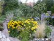 tn_gallery_5956_2442_177562.jpg