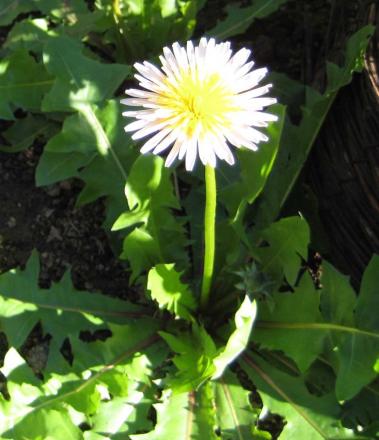 gallery_14_246_27205.jpg