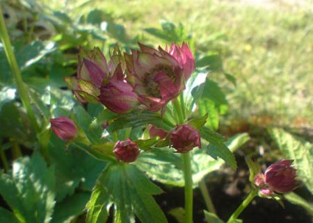 gallery_15806_2769_968.jpg