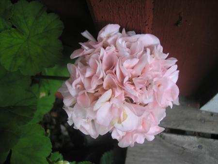 gallery_5783_2425_96652.jpg