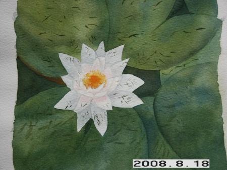 gallery_5956_2113_2942.jpg