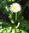 tn_gallery_14_246_27205.jpg