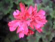 tn_gallery_5783_2425_2160.jpg