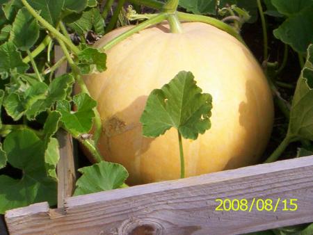 gallery_14342_2726_70385.jpg