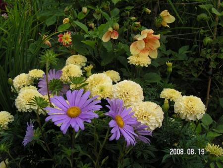 gallery_1786_950_109864.jpg