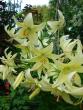 tn_gallery_72_1784_125506.jpg