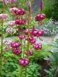 tn_gallery_72_1784_5595.jpg