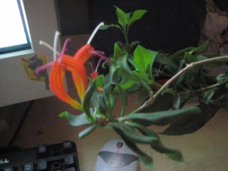 gallery_18468_2778_171213.jpg