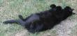 tn_gallery_5153_2776_41542.jpg