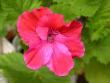 tn_gallery_698_2781_18761.jpg