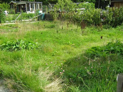 gallery_18390_2790_19074.jpg