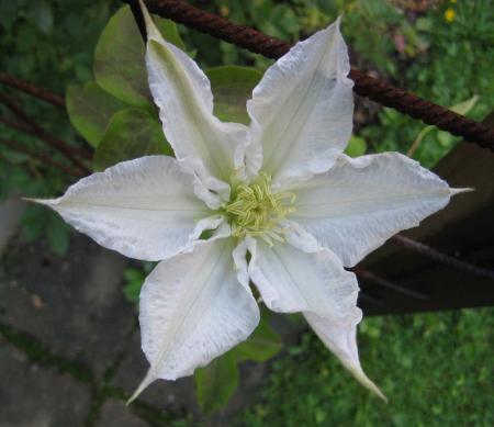 gallery_14_200_23467.jpg