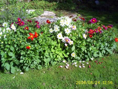 gallery_17660_2797_96972.jpg