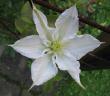 tn_gallery_14_200_23467.jpg