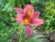 tn_gallery_2529_1142_13499.jpg