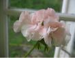 tn_gallery_2529_1142_18858.jpg