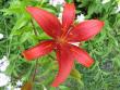 tn_gallery_805_2791_30971.jpg