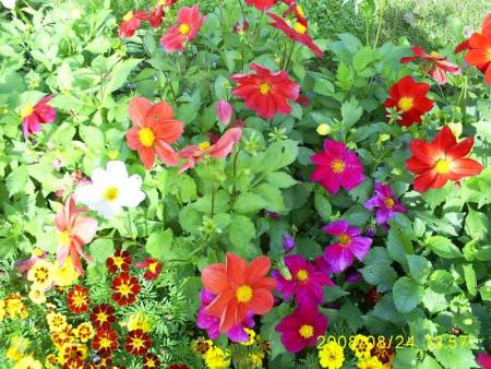 gallery_17660_2797_62533.jpg